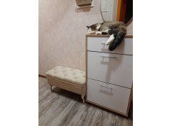 Обувница ТП-2 венге / беленый дуб фото покупателя 3